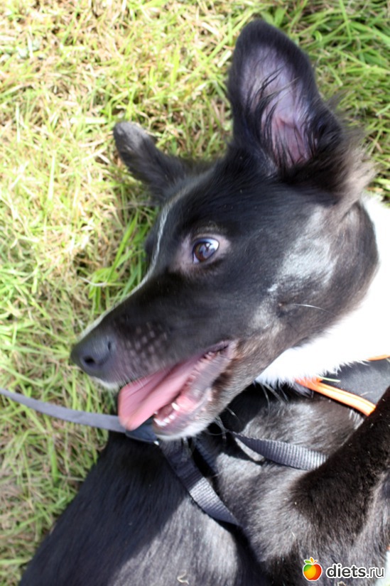 17 ����: ����