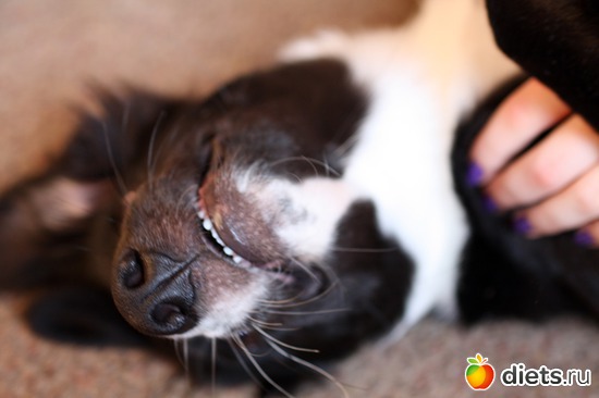 18 ����: ����