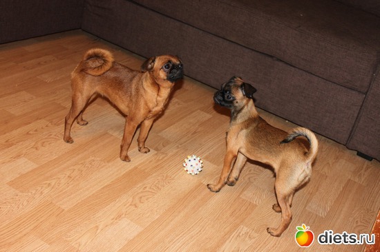 10 ����: ���� �������