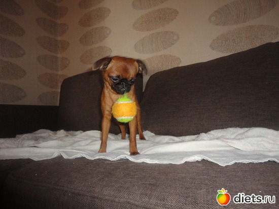 11 ����: ���� �������