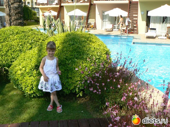 ��� ������� ������!, ������: ������