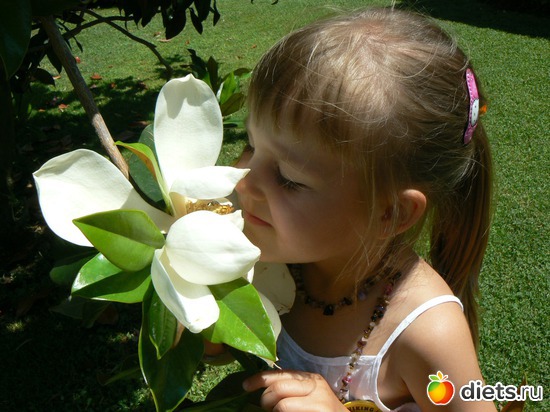 � ������!!!, ������: ������