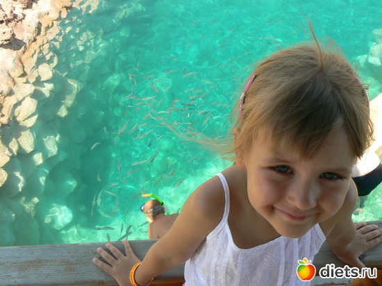 �����, ������: ������