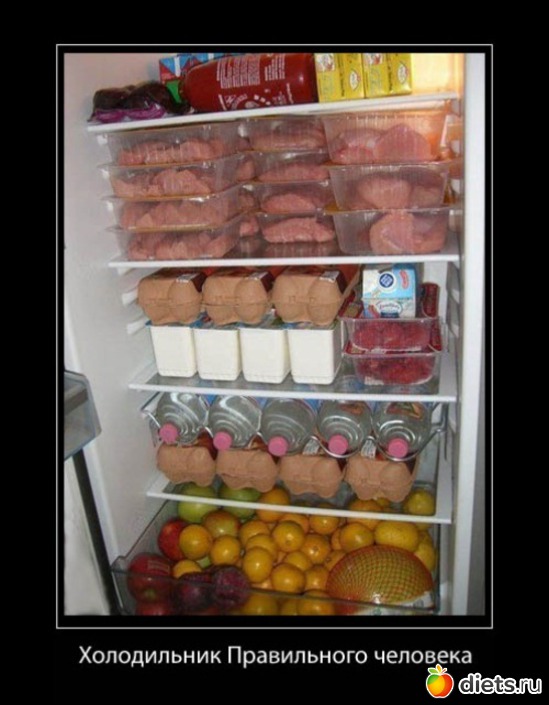 26 ����: ���������