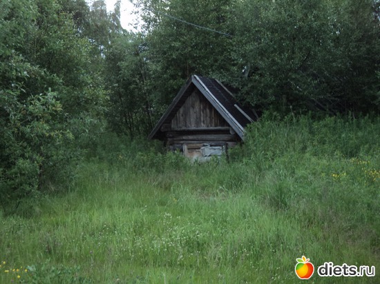 август 2012, альбом: мой город