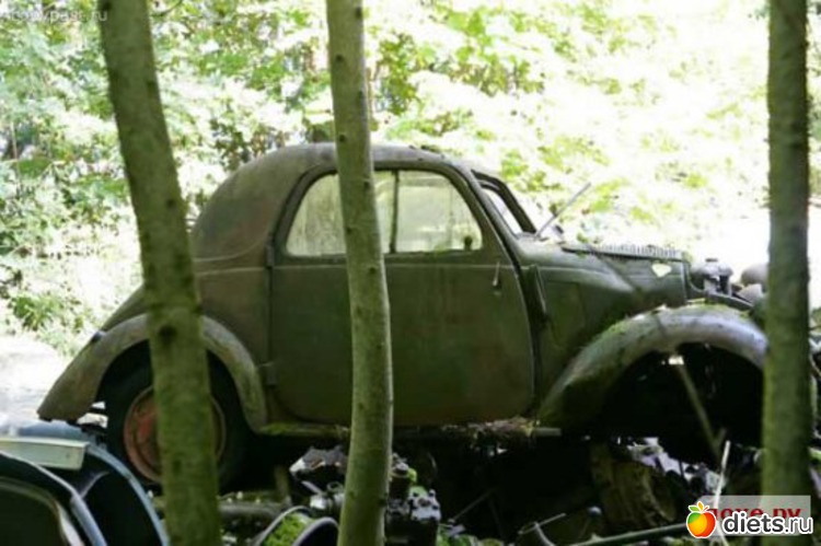 18 ����: �������� �����