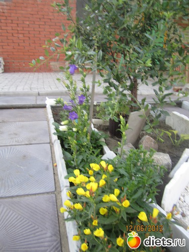 2 ����: ������ �������