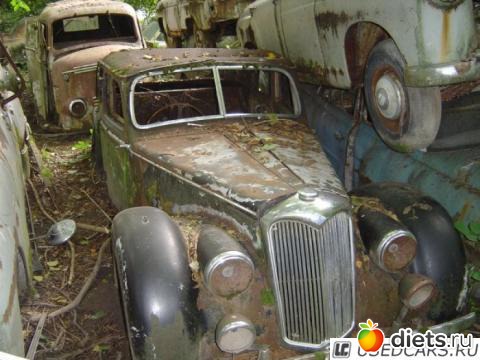 �������� �����