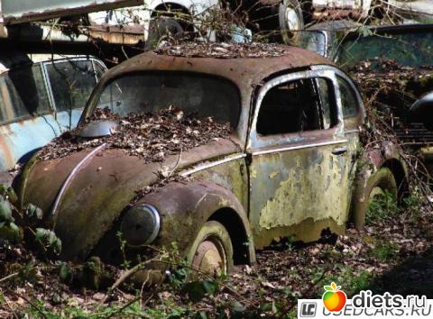 �������� �����