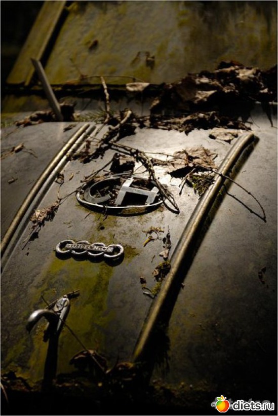 4 ����: �������� �����