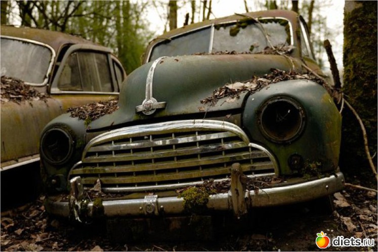 5 ����: �������� �����