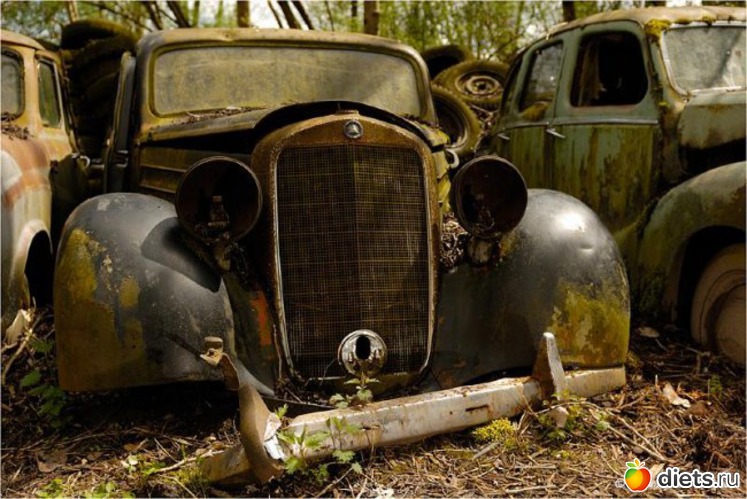 6 ����: �������� �����