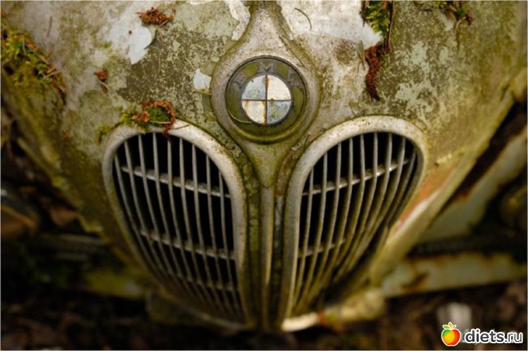 7 ����: �������� �����