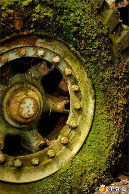 8 ����: �������� �����