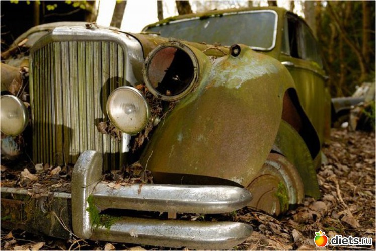 9 ����: �������� �����