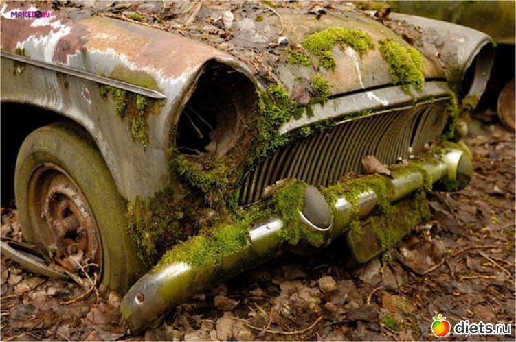 10 ����: �������� �����