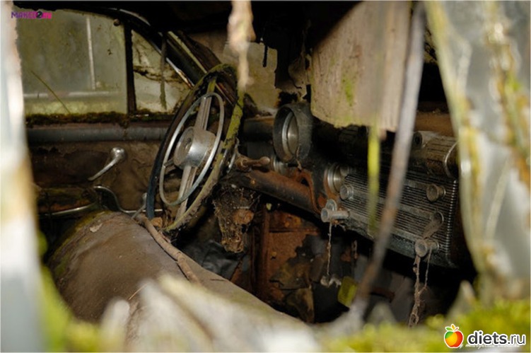 11 ����: �������� �����