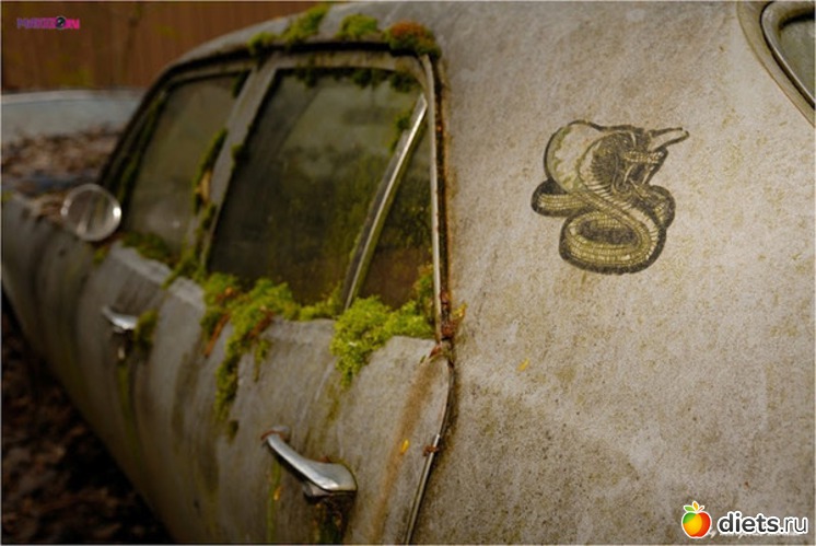 12 ����: �������� �����