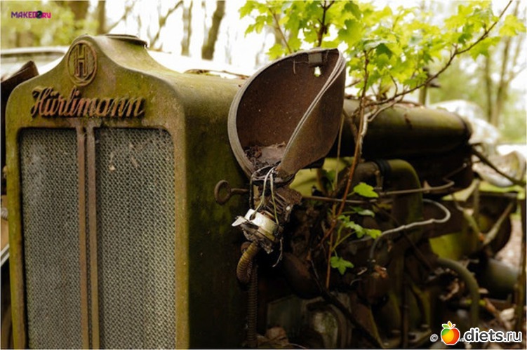 13 ����: �������� �����