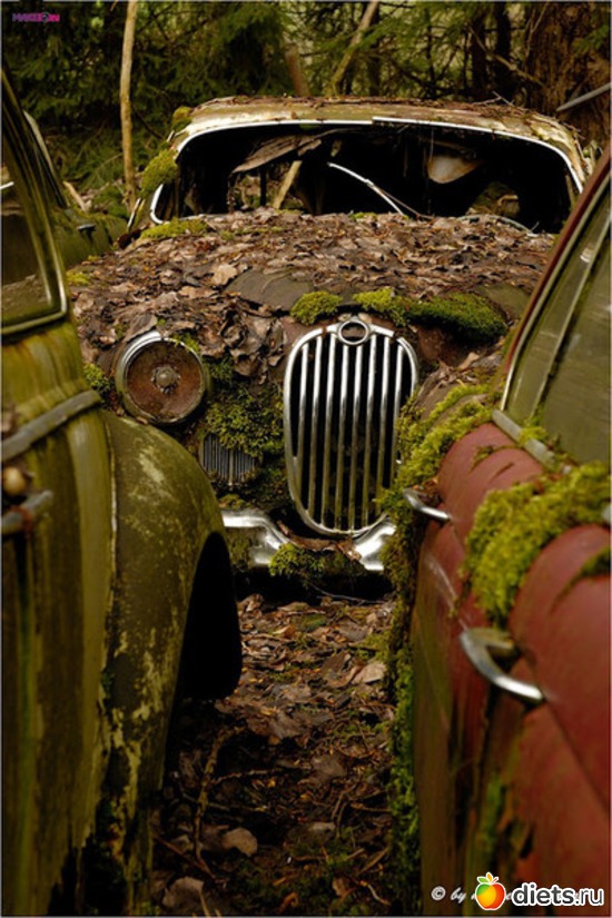 14 ����: �������� �����