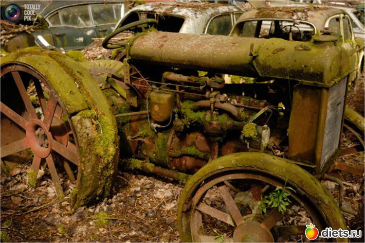 15 ����: �������� �����