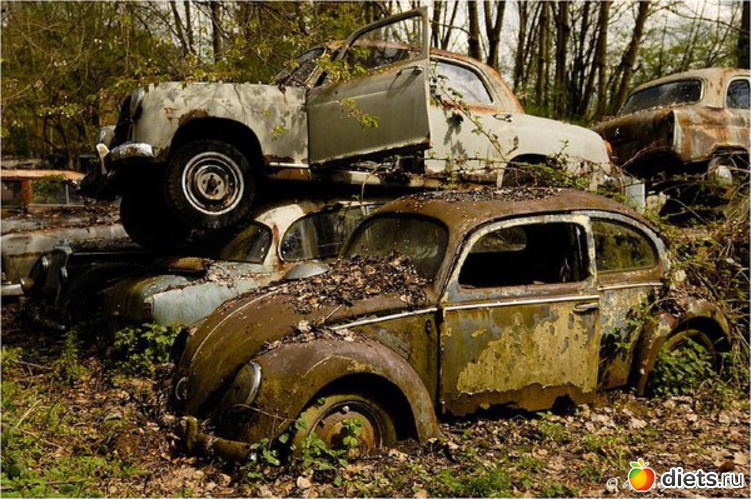 16 ����: �������� �����