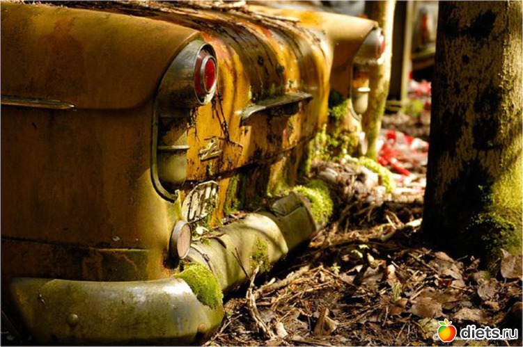 17 ����: �������� �����