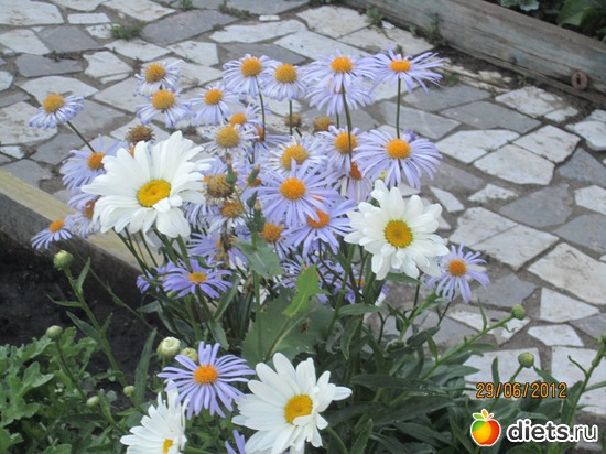 4 ����: ������ �������