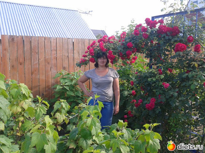 1 ����: ���� �������