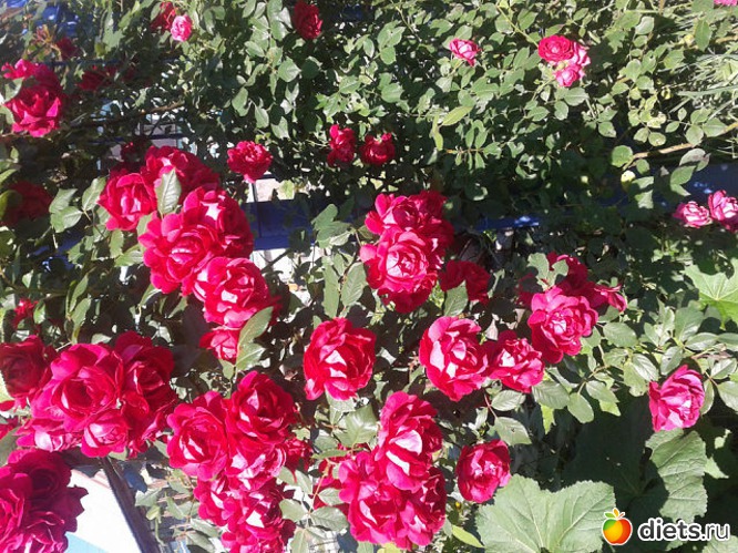 2 ����: ���� �������