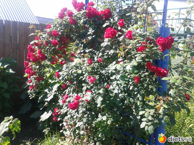 3 ����: ���� �������