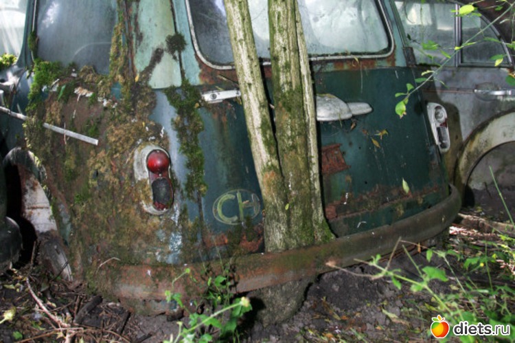 20 ����: �������� �����