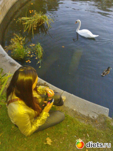 24 ����: �:)