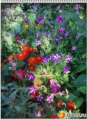 19 ����: ����