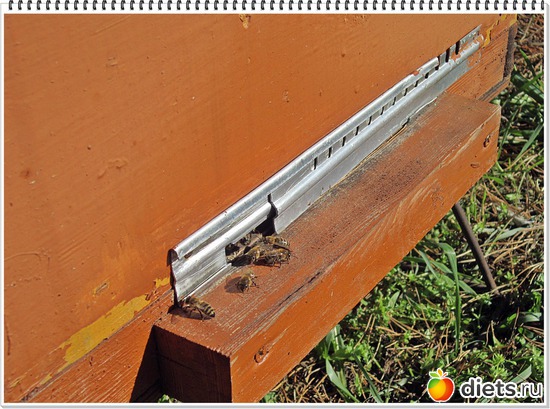 20 ����: ����