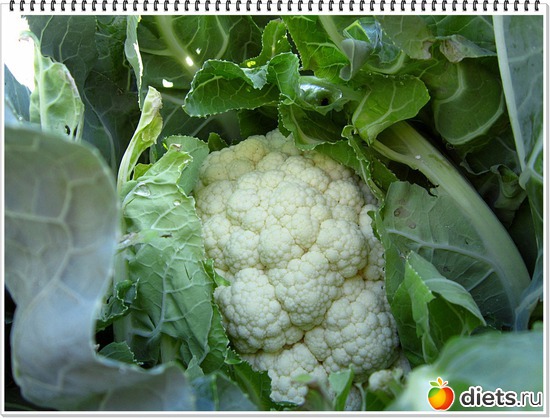 21 ����: ����