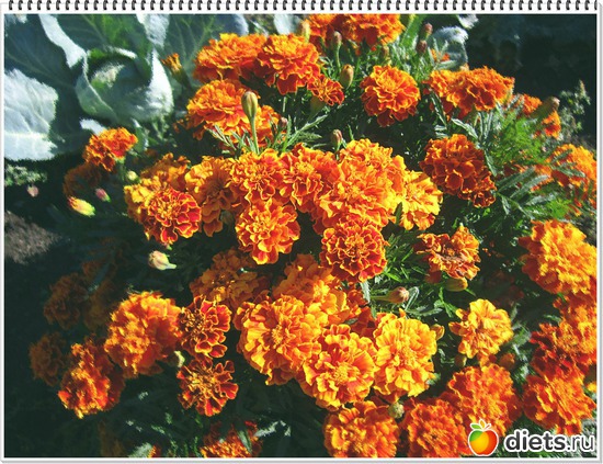 23 ����: ����