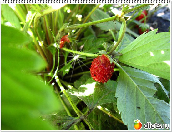 24 ����: ����