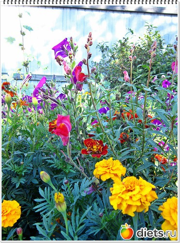 27 ����: ����