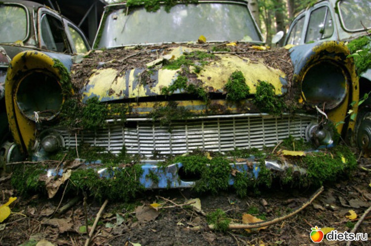 21 ����: �������� �����