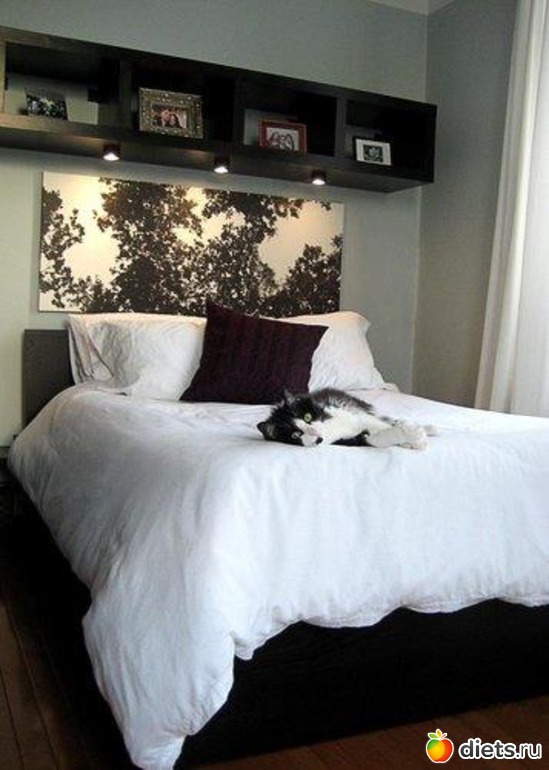 6 ����: �������