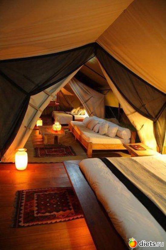 40 ����: �������