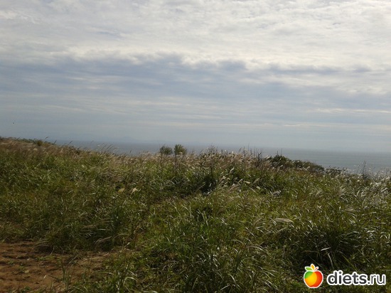 2 ����: �.�������