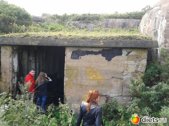 3 ����: �.�������