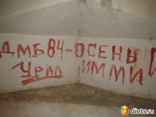 6 ����: �.�������