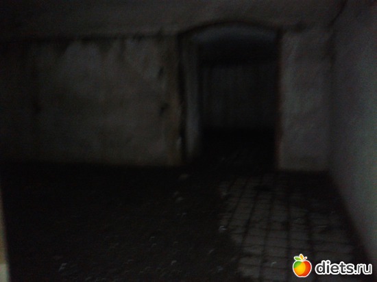 8 ����: �.�������