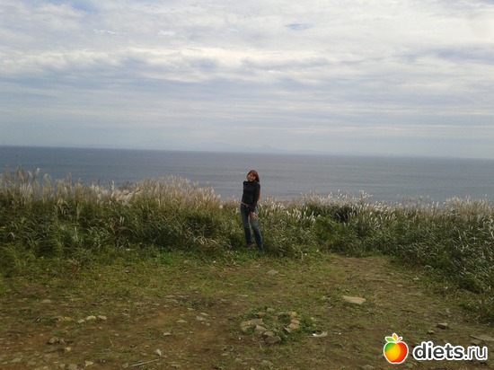 12 ����: �.�������