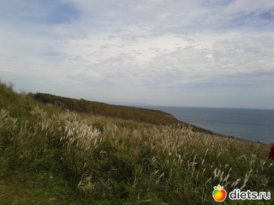 13 ����: �.�������