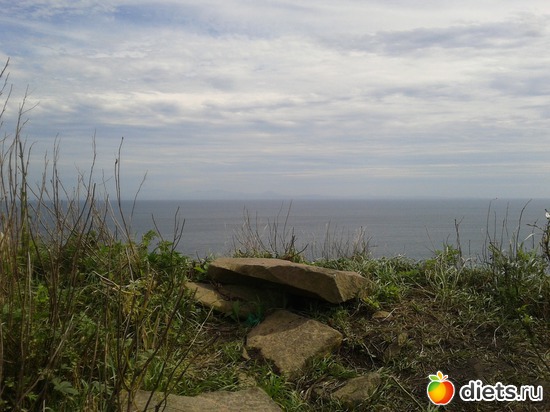 16 ����: �.�������