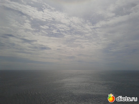 17 ����: �.�������